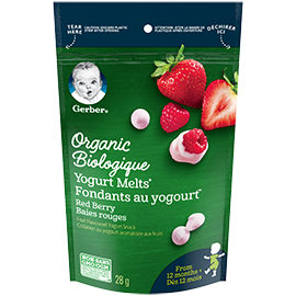 organic yogurt berry
