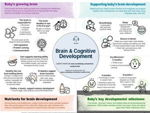 Brain & Cognitive Development