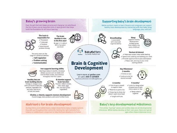 Brain & Cognitive Development