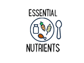 growth & development