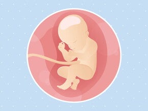 pregnancy week31 temporary