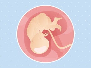 pregnancy week35 temporary