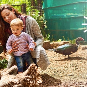 Baby organic foods_03_ACT_Your 5-step guide to eco-shopping