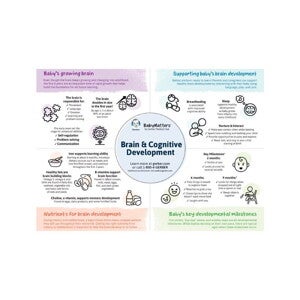 Brain & Cognitive Development