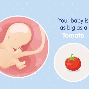 pregnancy week11 temporary