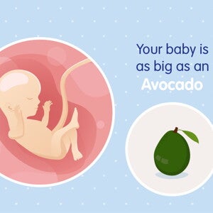 pregnancy week16 temporary