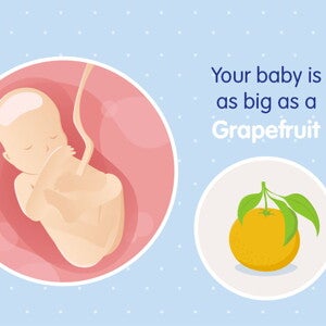 pregnancy week19 temporary