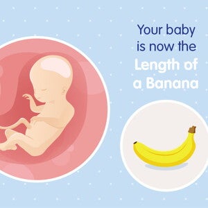 pregnancy week20 temporary