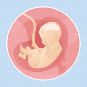 pregnancy week22 temporary