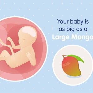 pregnancy week23 temporary