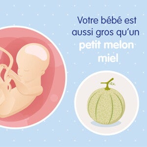 pregnancy-belly-fetal-development-week-25fr
