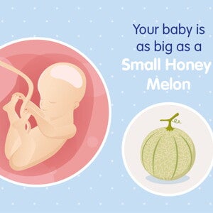 pregnancy week25 temporary