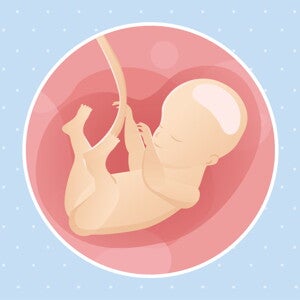 pregnancy week28 temporary