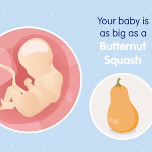 pregnancy week29 temporary