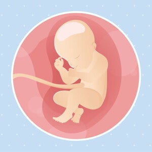 pregnancy week31 temporary