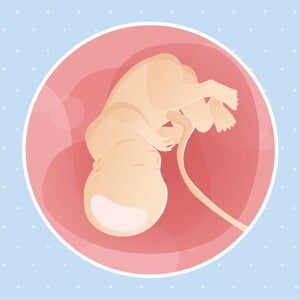 pregnancy week36 temporary