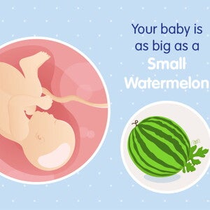 pregnancy week39 temporary