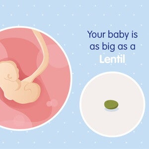 pregnancy week4 temporary