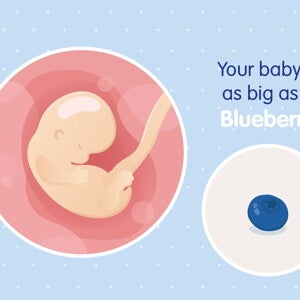 pregnancy week7 temporary