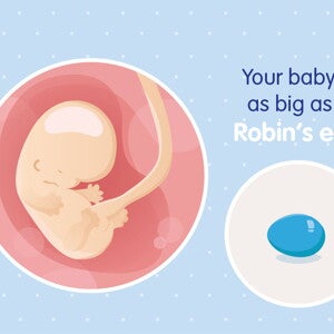 pregnancy week8 temporary