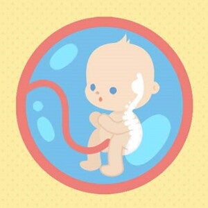 Teaser Diet during pregnancy_03_ACT_5 of the top nutrients_900px