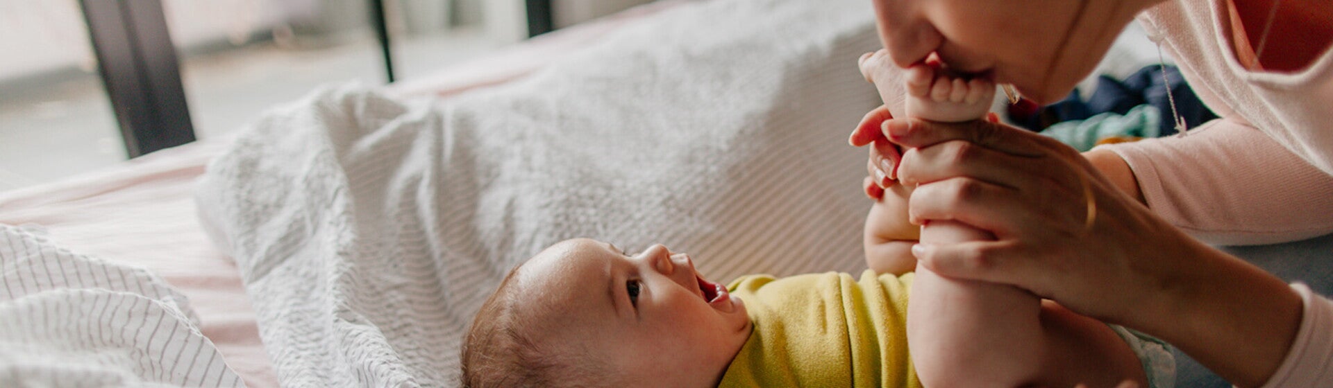 Article finder header